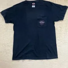00s Red Hot Chili Peppers Tシャツ レッチリ USA製 - メルカリ