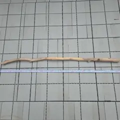 希少 樹齢150〜200年 杉枝 約91cm 鑑賞 庭 インテリア 骨董 華道