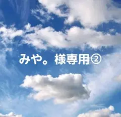 みや。様専用②