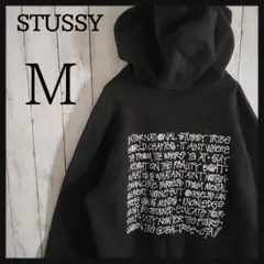 【人気】ステューシー ショーンフォント プルオーバーパーカー
