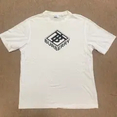 Item thumbnail for item 29079347-42c5-46ec-a703-ed47dcd2e98f