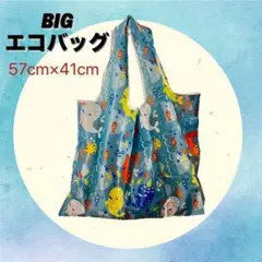 Item thumbnail for item 8b63b795-7351-4e9e-a798-6d11cbc3dec4