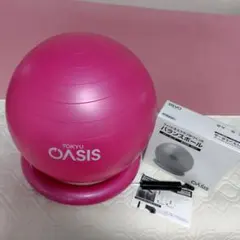 ルネサンス　バランスボール 55cm 適応身長150〜170㎝のサムネイル
