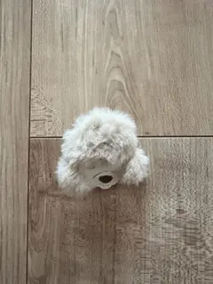 DONSJE ※本日限定1900 ※