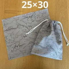 ランチョンマット25×30 給食袋セット　恐竜　グレー　ティラノサウルス