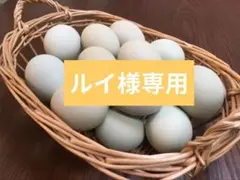 ルイ様専用 青いたまご　アローカナ平飼いたまご48個