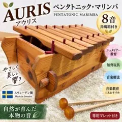2026年最新】AURIS シロフォンの人気アイテム - メルカリ