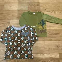 RAG MART、SKAPE２枚セット　恐竜Tシャツ 110サイズ