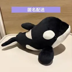 2026年最新】名古屋港水族館 シャチ ぬいぐるみの人気アイテム - メルカリ