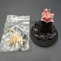 ALIEN エイリアン フェイスハガー フィギュア 標本 培養器 ガラス製