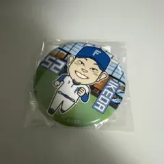 ファイターズ 秋季 ガチャ 池田隆英