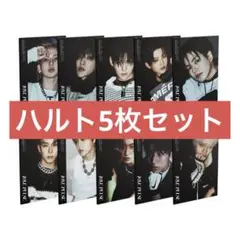 TREASURE LOVE PULSE CD デジパック ハルト