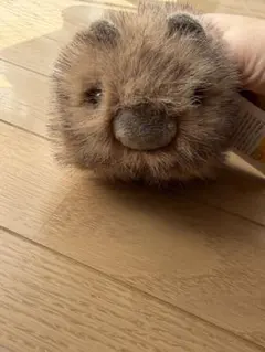 2026年最新】ウォンバットぬいぐるみの人気アイテム - メルカリ