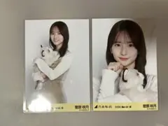 2026年最新】菅原咲月 コンプの人気アイテム - メルカリ