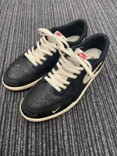 Item thumbnail for item 70ecd6d3-8193-4b5b-a6ca-cff0483835eb