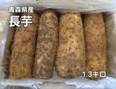 青森県産 長芋 使い切りサイズ1.3kgのサムネイル