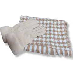 Item thumbnail for item b2dfcc1c-b873-40ee-96ba-0aac2bd41f85