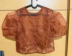 W closet パワショルオーガンジーブラウス