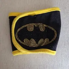 Item thumbnail for item a799de9a-fbec-4d23-8702-30079f645e75