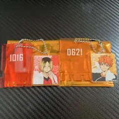 ハイキュー‼︎ 極楽湯 銭湯錠風キーホルダー 孤爪研磨&日向翔陽