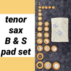 Item thumbnail for item b744a4ef-66a6-4b24-a4e7-685bbdf0244b