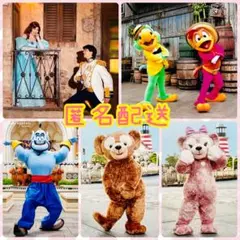 【パーク完売品】公式フォト　アリエル　エリック　ダッフィー　シェリーメイ