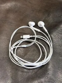 Apple EarPods Lightning 本体のサムネイル