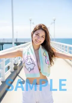 L1333　AI美女 A4ポスター コスプレ　水着　グラビア ランジェリー