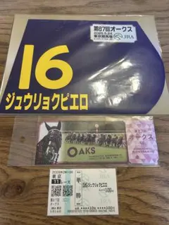 ジュウリョクピエロ 現地的中馬券 ミニゼッケン 入場券ステッカー