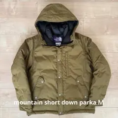 THE NORTH FACE PURPLE LABEL ダウンジャケット M