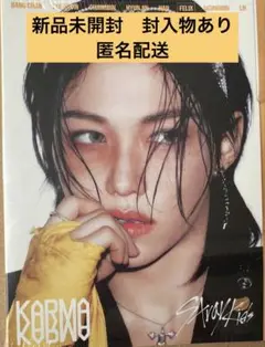 新品未開封　straykids フィリックス　karuma accordion