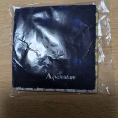 Aquascutum タオルハンカチ 新品