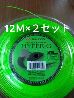 ソリンコハイパーG125 12Ｍ×２セット