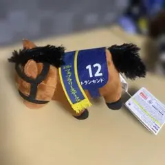 サラブレッドコレクション　トランセンド