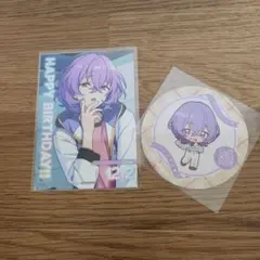 花群冬芽　セット