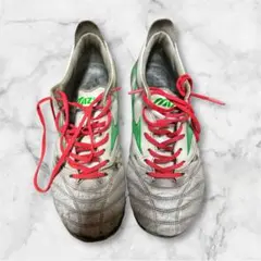 Mizuno モレリア　ネオ 4 26.0