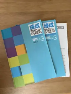 2026年最新】練成テキスト 算数の人気アイテム - メルカリ
