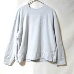 SHAMBHALA ライトブルー トレーナー M 無地　ラグラン