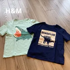 H&M キッズ　Tシャツ2枚組　110 4-6Y 恐竜　ダイナソーのサムネイル