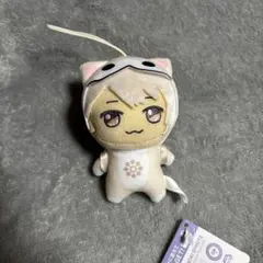 2025年最新】棗巳波 ぬいぐるみの人気アイテム - メルカリ