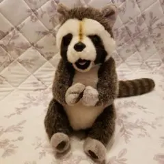 2026年最新】ファースト ぬいぐるみ アライグマの人気アイテム - メルカリ