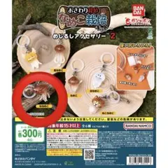 おさわり探偵なめこ栽培キット 天使なめこ - メルカリ