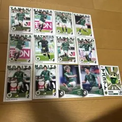 Item thumbnail for item d0bd7f4e-3b70-4ef6-99ab-43d853256b2a