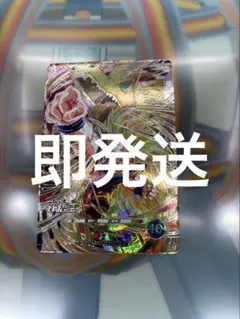 SDV6-SEC 孫悟空