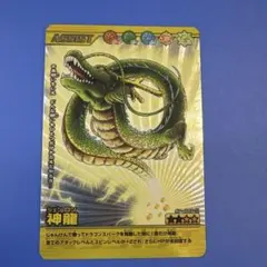 ドラゴンボール データカードダス 爆烈インパクト シークレット 神龍 SEC
