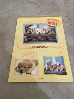 Item thumbnail for item eff18ab5-73ba-4cf3-a4f5-eadce1394a57