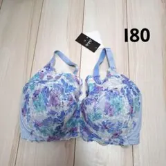 Item thumbnail for item e6504b38-2e2b-47d6-8ac7-7f7341bef4e3