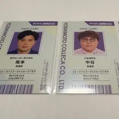 よしもとコレカ第6弾 マユリカ セット