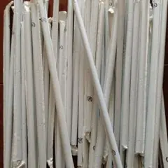 Item thumbnail for item 40e94527-db01-43fb-905c-6d7964a03459