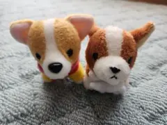 コーギー犬 ぬいぐるみ3体セット